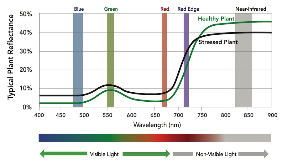 Image result for electromagnetic spectrum micasense rededge-m